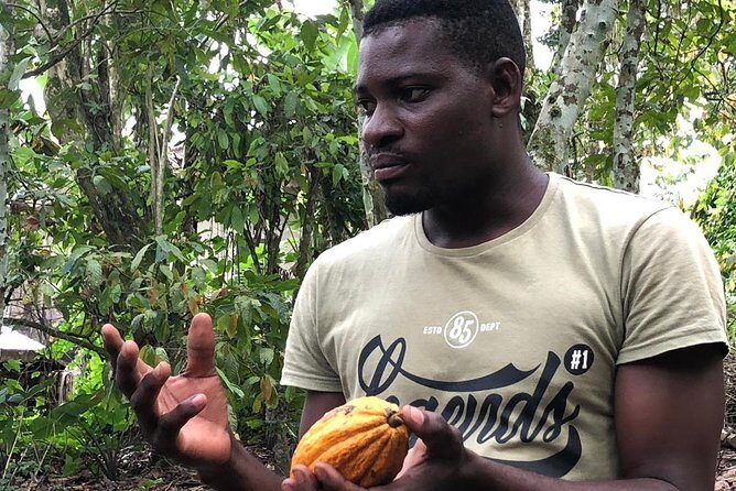 Ghana Eastern Explorer - Boti Falls, Aburi Gardens & Tetther Quarshie Cocoa Farm - In the Car: Air-Conditioning, WiFi, Snacks, Water, and Lunch