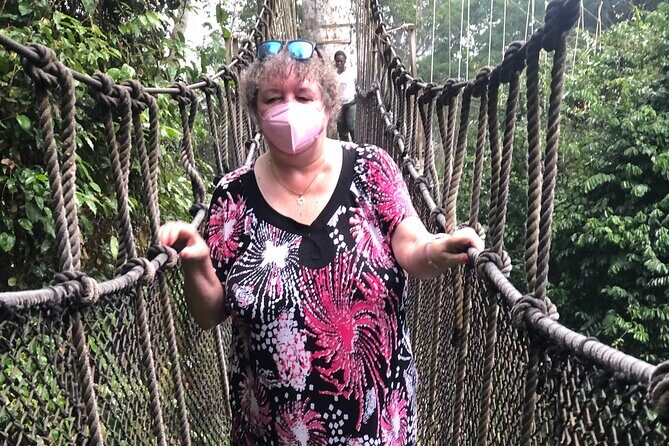Ghana Private Historic Tour through Castles and Nature - Kakum National Park: the canopy walkway at about 50 meters up