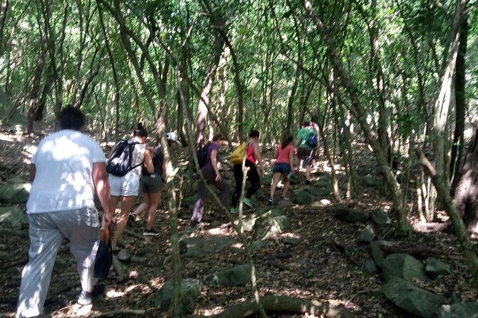 Half-day Accra Safari Tour - A safari escape you can actually fit into a day