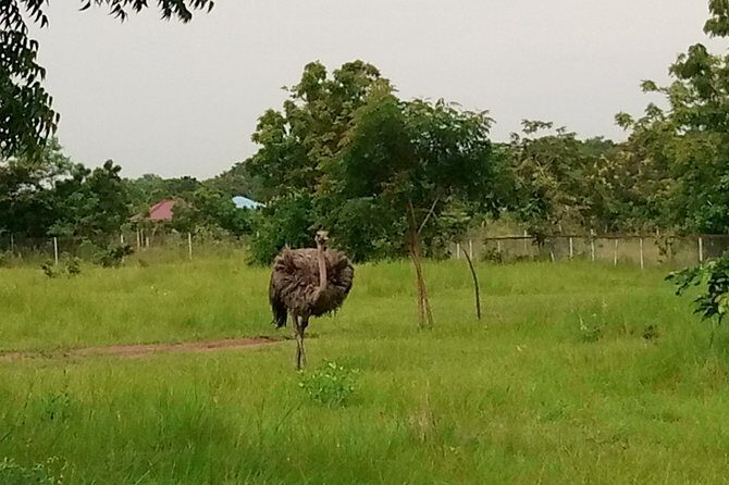 Half-day Accra Safari Tour - The hill-and-cave climb: fun climbing with a real fitness check