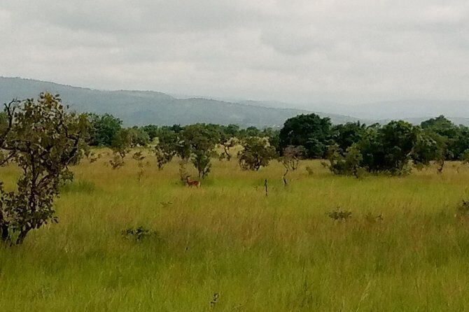 Half-day Accra Safari Tour - Guides and service: why Prince and the ranger get praised