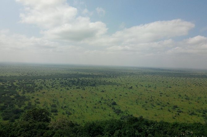 Half-day Accra Safari Tour - Timing realities: why the park time can feel short