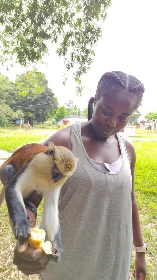 Hike Mount Afadjato and Visit Wli Falls and Monkey Sanctuary - Realistic expectations for your photos and memories