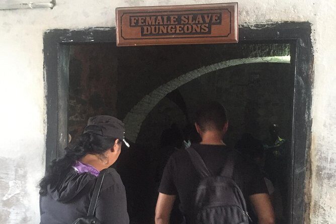 Historical Day Tour to Cape Coast, Elmina and Kakum - Kakum National Park and the canopy walk: where the forest feels like a different world