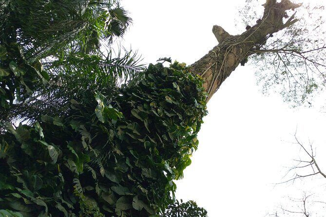 Nature Thrills - Who This Tour Fits Best (and Who Should Rethink It)