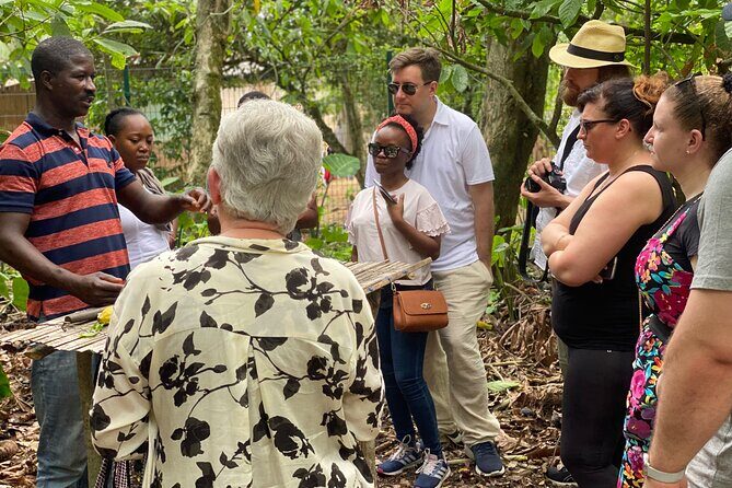 Private Aburi Hill Guided Tour - Why This Aburi Hills Day Tour Feels Better Than DIY