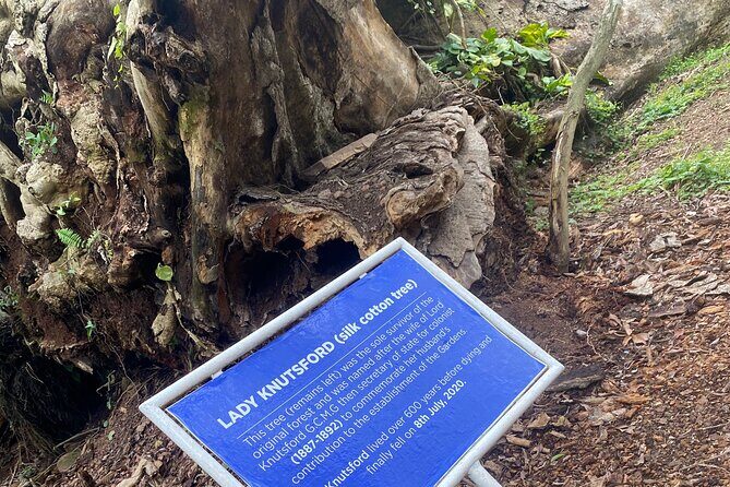 Private Aburi Hill Guided Tour - Peduase Lodge View Stop: Accra’s Mountain Outlook in About 10 Minutes