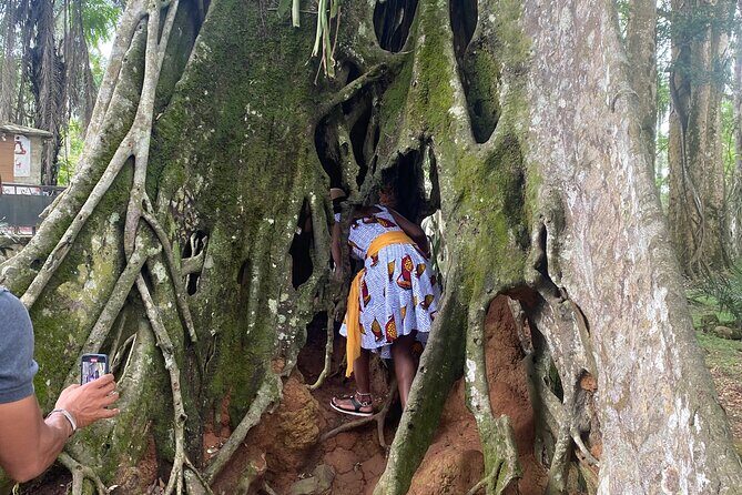 Private Aburi Hill Guided Tour - The Ride Out of Accra: Comfort, Wi‑Fi, and a Clear Start