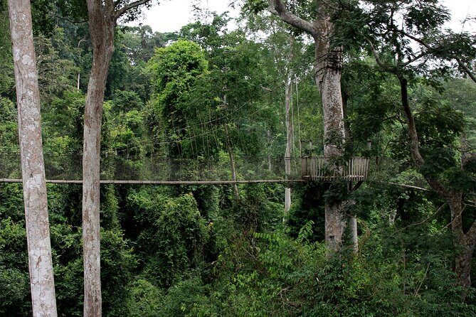 Private Multi-Day Ghana Tour about Culture History and Wildlife - 7 Days - Kumasi UNESCO Shrines: Asante Buildings and Adinkra Meaning