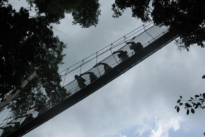 Private Takoradi Castles Shore Excursion - Ghana Coastal Castles: The Drive Sets the Tone
