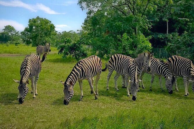 Shai Hills Half Day Accra Safari, Hike & see Animals - Key highlights you’ll feel fast