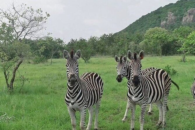 Shai Hills Half Day Accra Safari, Hike & see Animals - Shai Hills Resource Reserve: Accra’s easiest wildlife fix