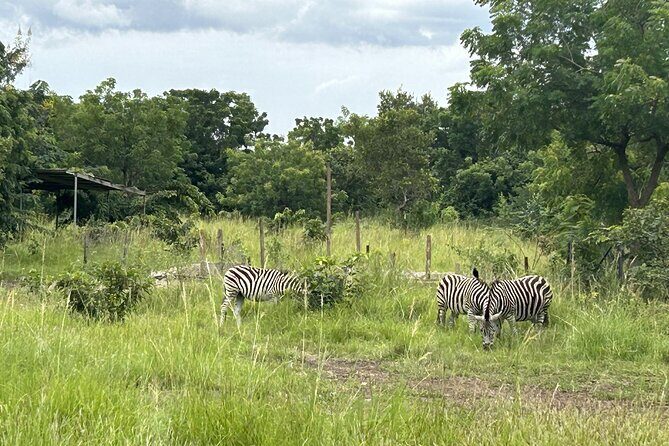 Shai Hills Safari - Hike & See Animals - Mini hike vs car option: pick the pace that fits you