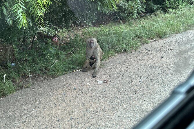 Shai Hills Safari - Hike & See Animals - Transport comfort: air-conditioned vehicle, WiFi, and bottled water