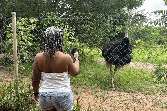 Shai Hills Safari - Hike & See Animals - What to bring (and what to skip) for a smooth day