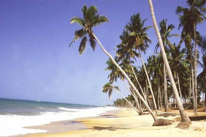 The Best Of Cape Coast Tour - What to bring and how to prepare