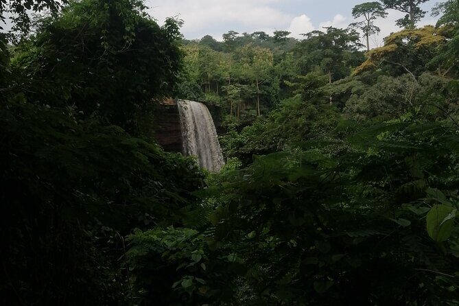 The Botanical Gardens and Water Falls Experience - Private Tour - Key Highlights at a Glance