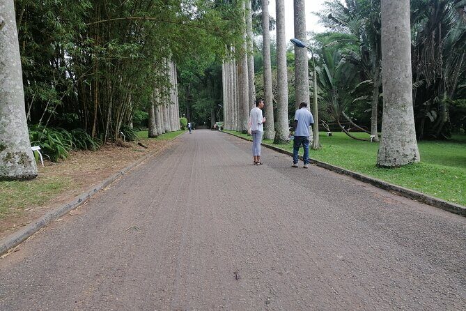 The Botanical Gardens and Water Falls Experience - Private Tour - Comfort and Food: What’s Included Makes the Day Easier
