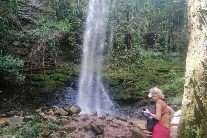 The Botanical Gardens and Water Falls Experience - Private Tour - Price and Value: Is $222.15 a Good Deal?